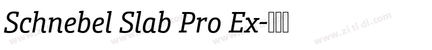 Schnebel Slab Pro Ex字体转换 Schnebel Slab Pro Ex字体转换